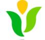 青岛新闻信息网